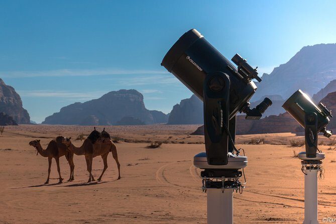 Stargazing Adventure in Jordan - Key things to know before you go