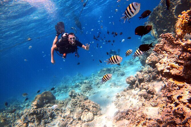 Take advantage of a half-day boat dive experience in Red sea of Aqaba. - The first underwater session: training for first-timers and included media