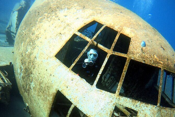 Take advantage of a half-day boat dive experience in Red sea of Aqaba. - Snorkeling after you surface: see more without adding risk