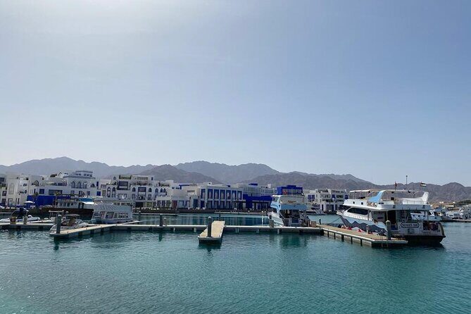 Take advantage of a half-day boat dive experience in Red sea of Aqaba. - Lunch onboard: the simple fuel that keeps the day fun