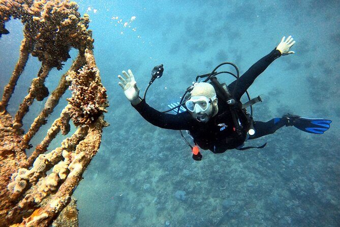 Take advantage of a half-day boat dive experience in Red sea of Aqaba. - Value check: is $150 per person worth it?
