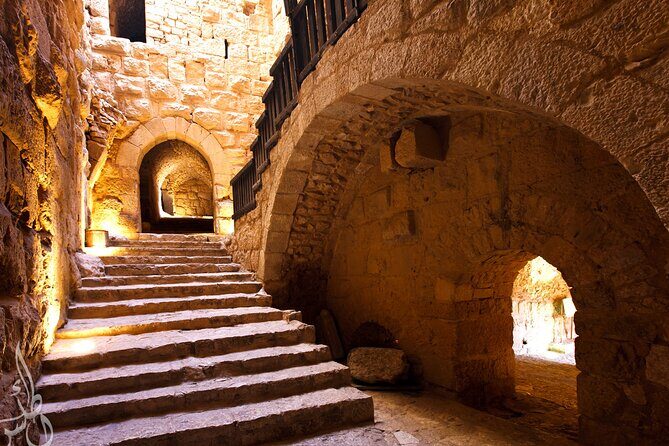 The Ultimate Jordan Experience - 8 Full Days Private Tour - Jerash and Ajloun Castle plus the Al Ma’wa wildlife sanctuary