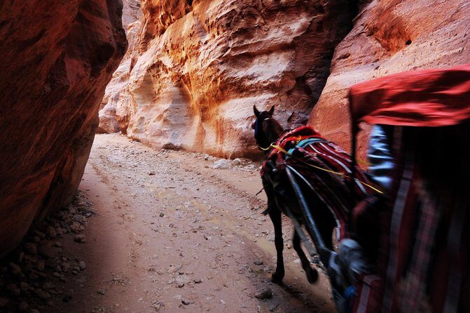 Transportations around Jordan | The Jordanian Mappers - Comfortable Sedan, Real Comfort Perks You’ll Actually Use