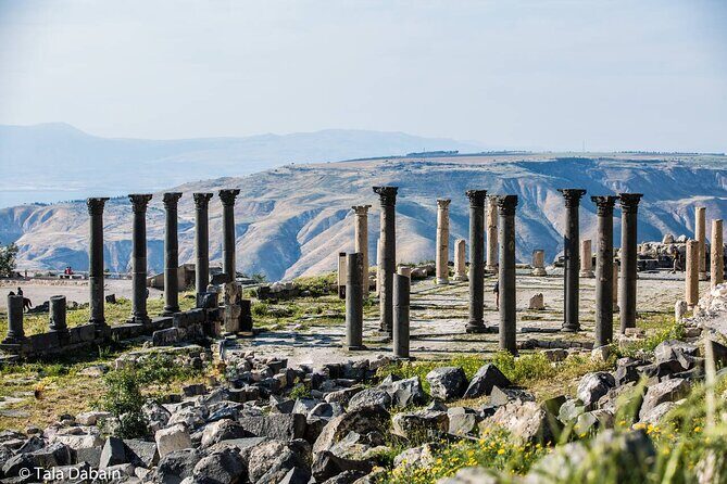 Trip to Jerash, Ajloun and Umm Qais - Private Tour Comfort: Pickup, Wi‑Fi, and Drivers Like Bassam, Aneese, and Haroun