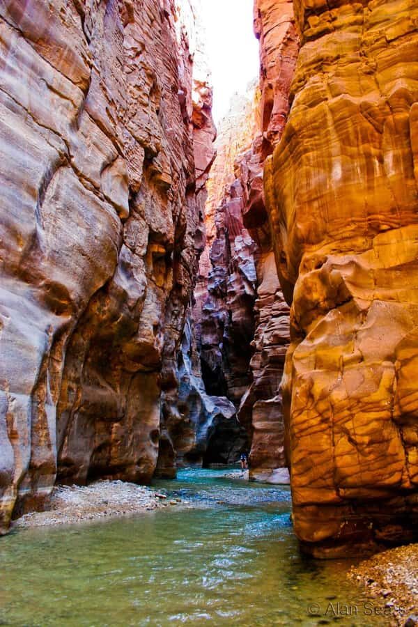Wadi Al Mujib and Dead Sea Panoramic Tour from Aqaba - Dead Sea time at the 5-star resort: three hours to float, swim, and slow down