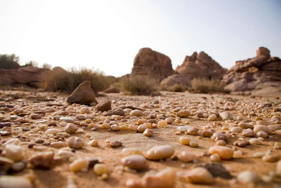 Wadi Rum: 10 Hour Jeep Tour Pass, Camel, Sandbording & Lunch - What your day actually feels like