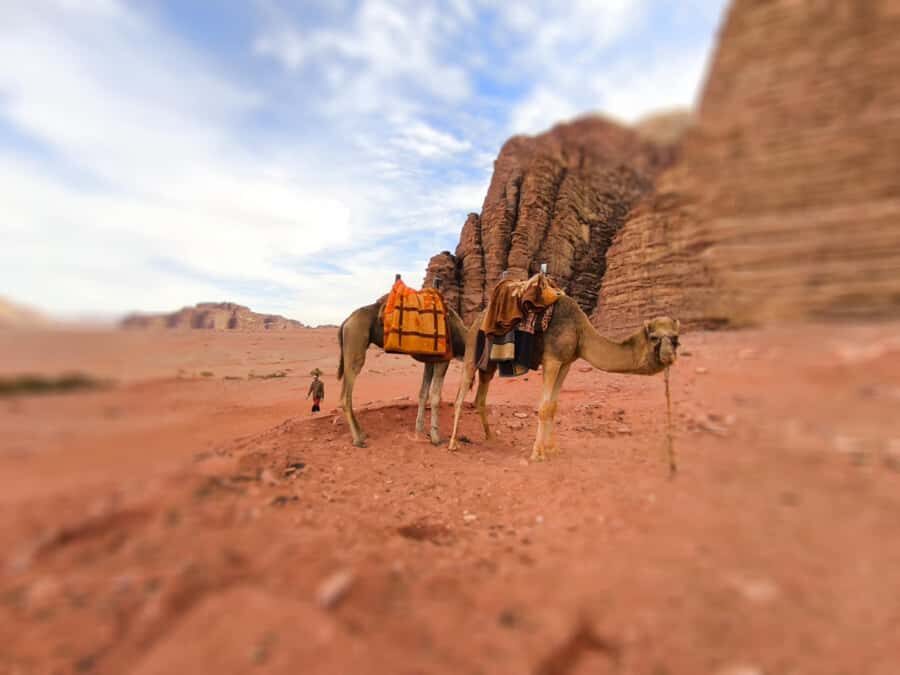 Wadi Rum: Camel Ride with tea and Bedouin Guide - Wadi Rum Camel Ride: How the 2 Hours Really Works