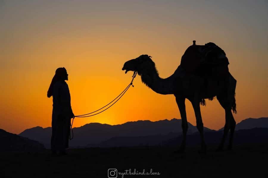 Wadi Rum: Camel Ride with tea and Bedouin Guide - The Camel Ride Itself: Why 1 Hour Beats a Photo Stop
