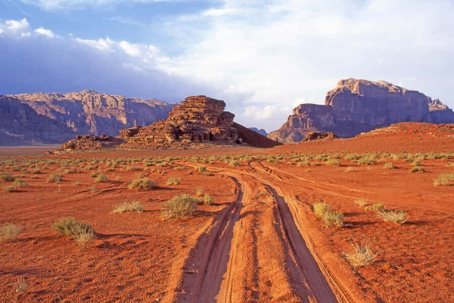 Wadi Rum: Camel Ride with tea and Bedouin Guide - Your Bedouin Guide: Stories, Etiquette, and Real Talk