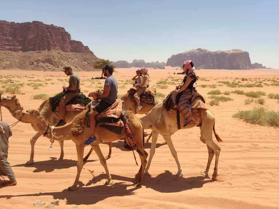 Wadi Rum: Camel Ride with tea and Bedouin Guide - What to Bring (So You Don’t Have a Desert Problem)