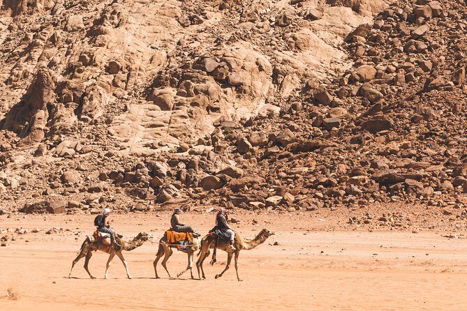 Wadi Rum: Camel Trek Adventure - Quick consideration before you go