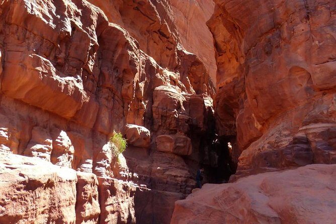 Wadi Rum: Camel Trek Adventure - The 3–4 hour camel route: Protected Area, Lawrence Spring, and Red Sand Dune