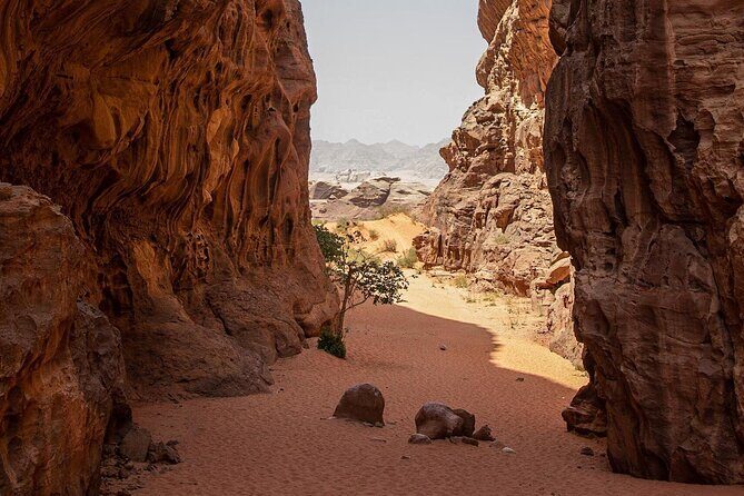 Wadi Rum Desert Tour with Lunch & Sunset - Rock bridges and Lawrence-style viewpoints: Little Rock Bridge to Mushroom Rock