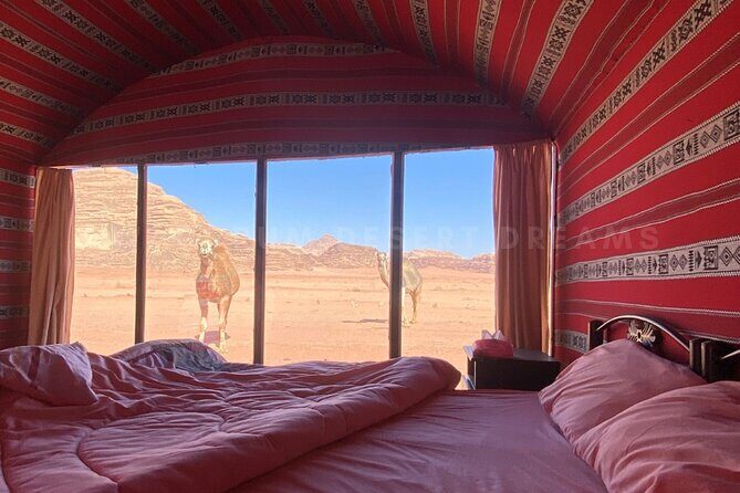Wadi Rum Full Day Jeep Tour + Overnight & Dinner in Bedouin Camp - Red Sand Dune climbing and the classic photo loop