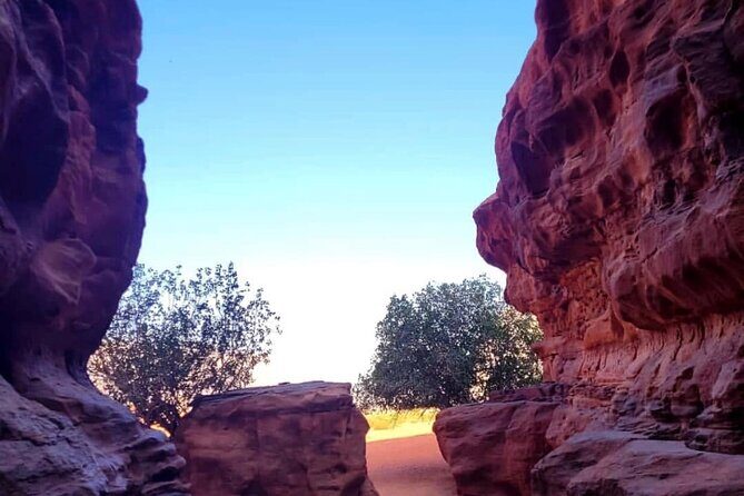 Wadi Rum Full Day Jeep Tour + Overnight & Dinner in Bedouin Camp - Overnight in a panoramic Bedouin camp: what comfort you can expect