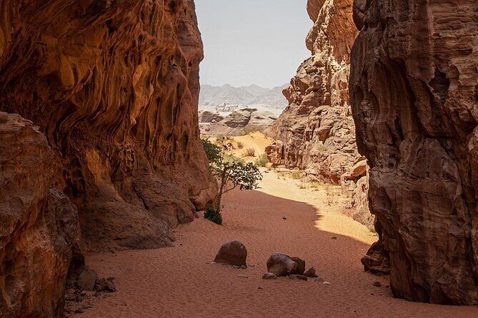 Wadi Rum Half-Day Desert Tour | Wadi Rum Desert - Entering Wadi Rum Protected Area: what you see right away