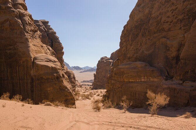 Wadi Rum: Mountain Hike with Lunch & Scenic Valley Tour - Price and Value: What $127 Buys (and What to Budget for)