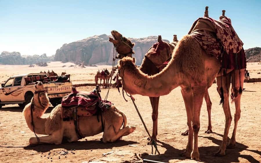 Whispers of Stone, Sand & Sea: Jordan in Five Days - A Five-Day Jordan Route That Feels Big, Not Chaotic
